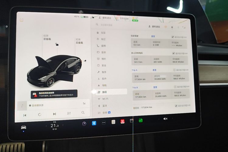 Tesla Model 3 2021 imagem de carro #13