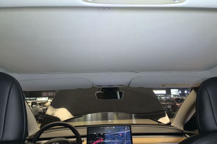 Tesla Model 3 2021 car image #18