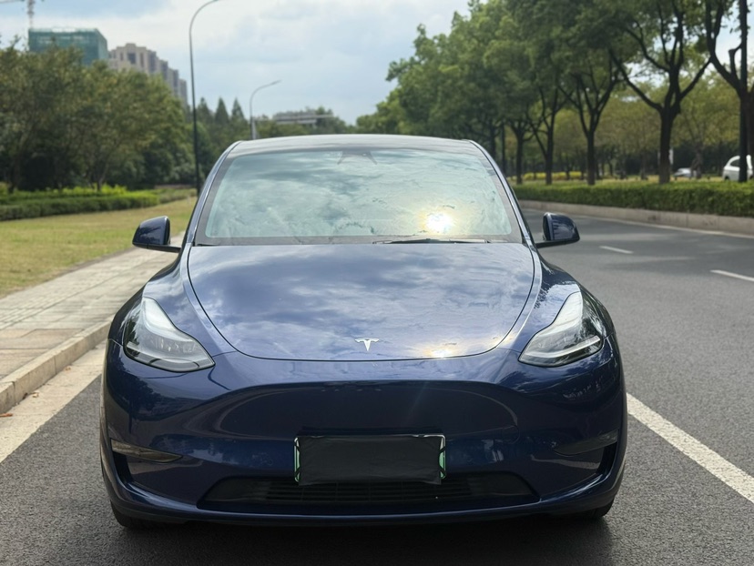 Tesla Model Y 2021 #2 Tesla Model Y 2021 car image #2