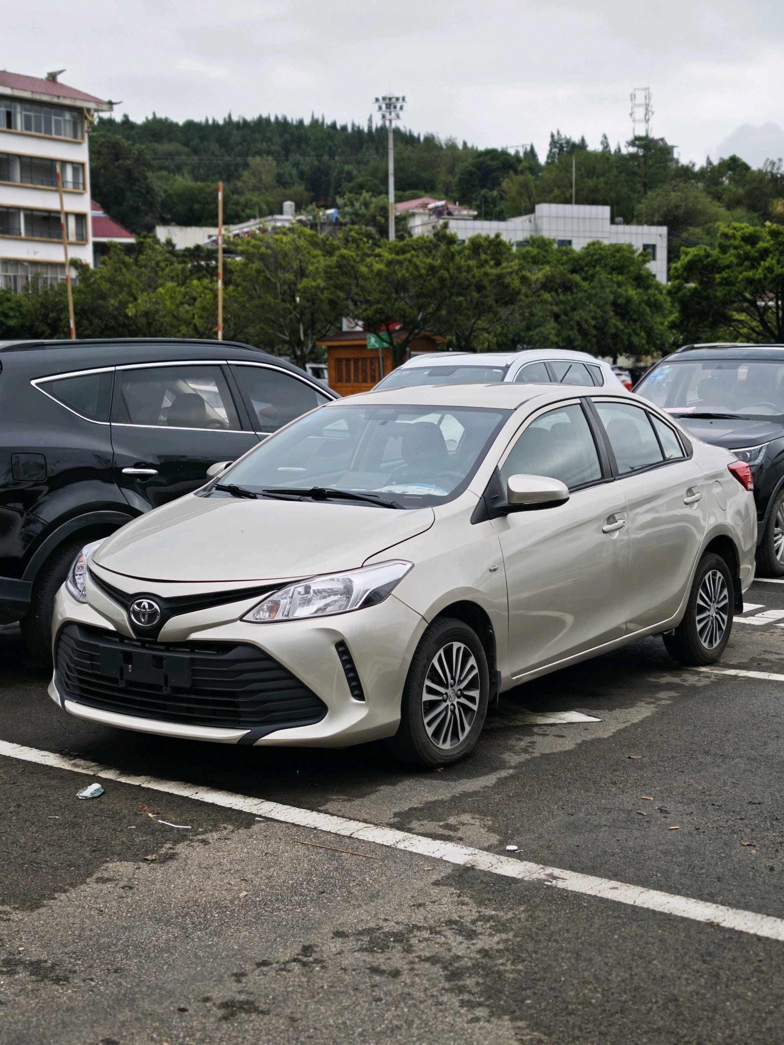 Toyota Vios 2017 car image 