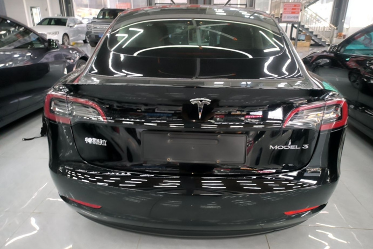 Tesla Model 3 2023 #6 Tesla Model 3 2023 car image #6