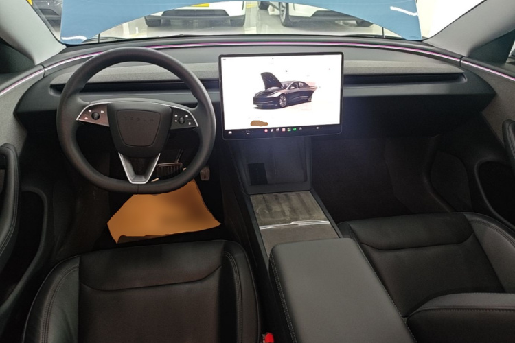 Tesla Model 3 2024 car image #10