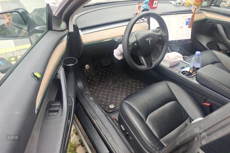 Tesla Model 3 2021 car image #18