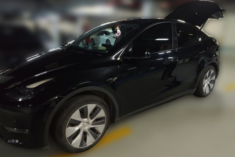 Tesla Model Y 2021 car image #2