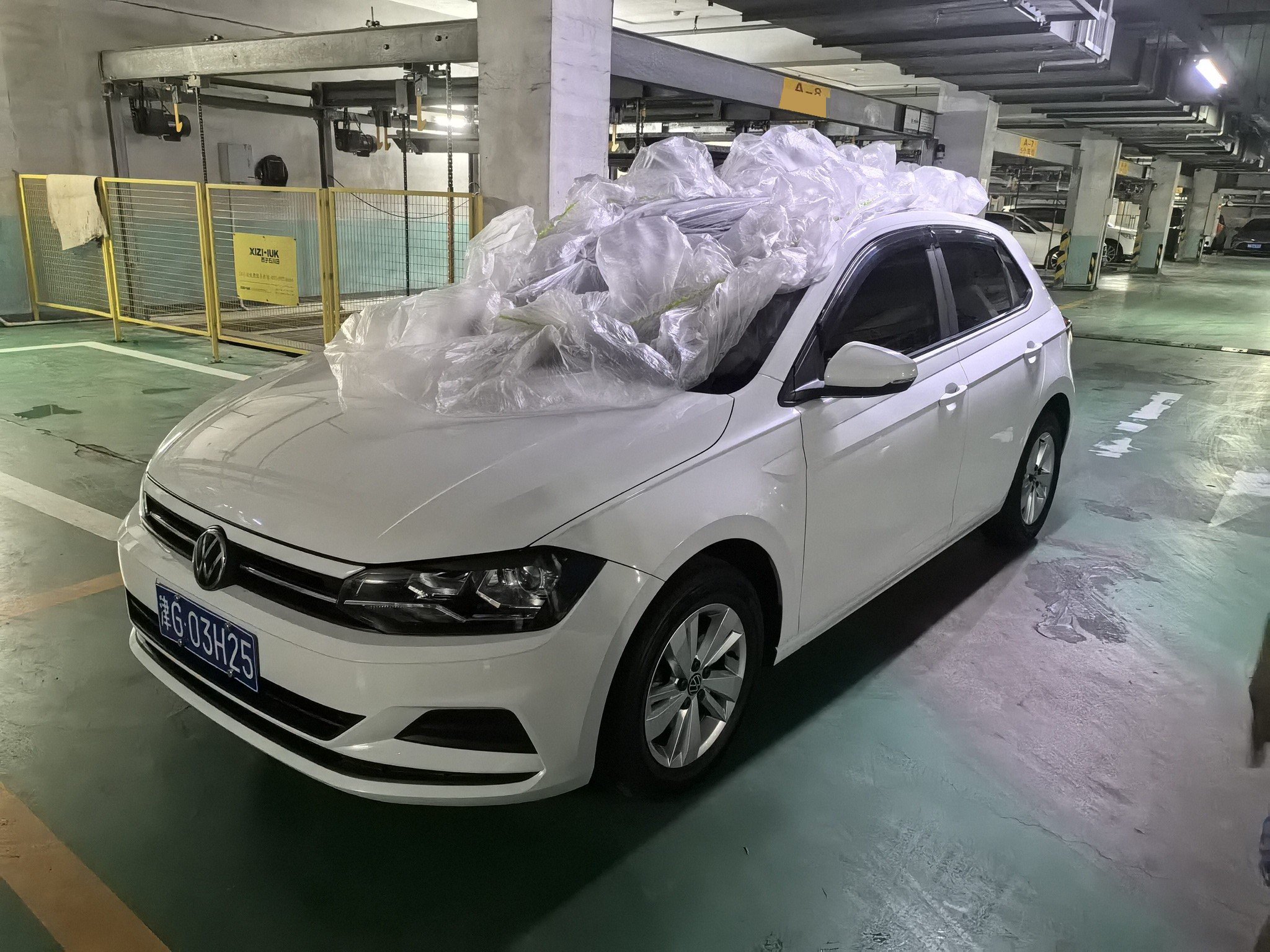 Volkswagen Polo 2023 car image 
