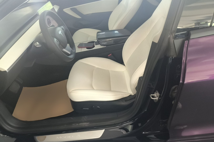 Tesla Model 3 2020 #19 Tesla Model 3 2020 car image #19