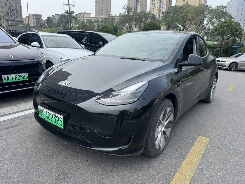 Tesla Model Y 2023 Tesla Model Y 2023 car image