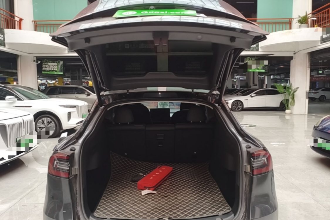 Tesla Model Y 2024 car image #10