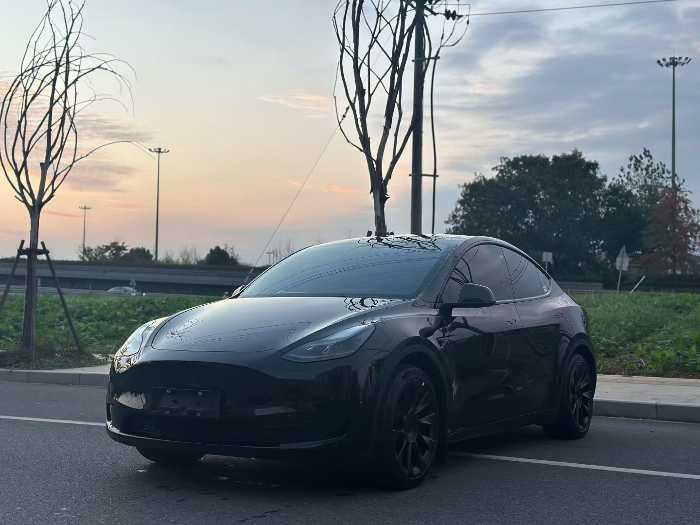 Tesla Model Y 2022 Tesla Model Y 2022 car image