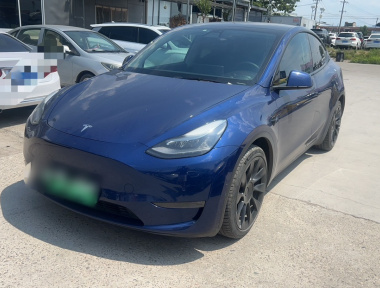 Tesla Model Y 2021 Tesla Model Y 2021 car image