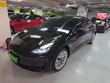 Tesla Model 3 2022 Tesla Model 3 2022 car image