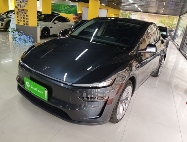 Tesla Model Y 2025 car image 