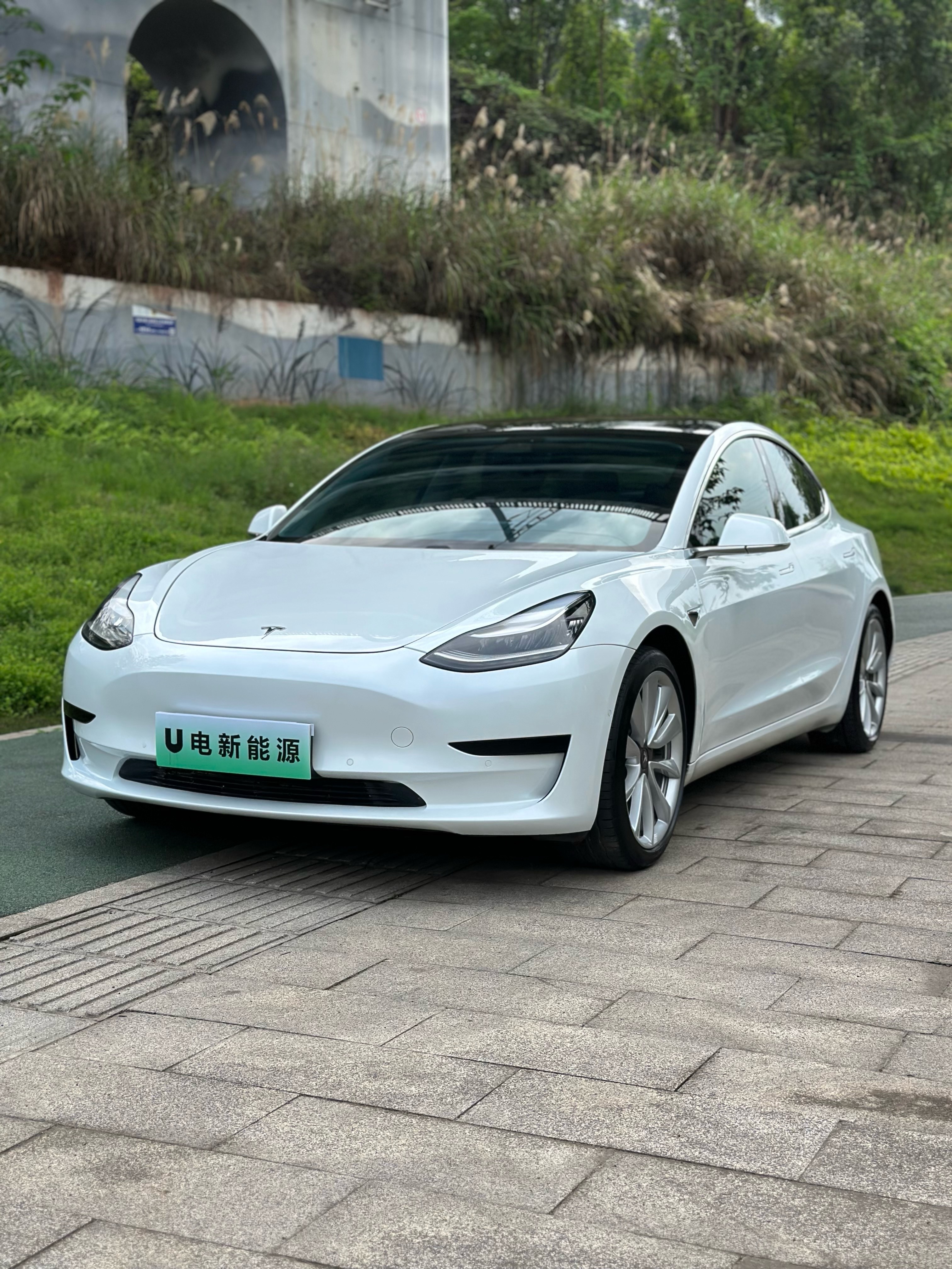 Tesla Model 3 2021 Tesla Model 3 2021 car image