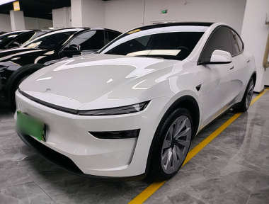 Tesla Model Y 2025 car image 