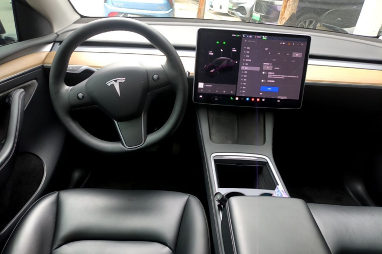 Tesla Model Y 2021 car image #10