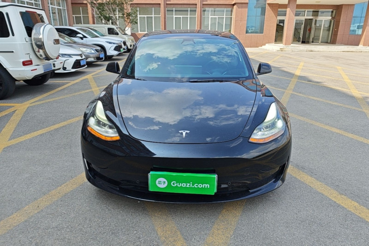 Tesla Model 3 2021 car image #3