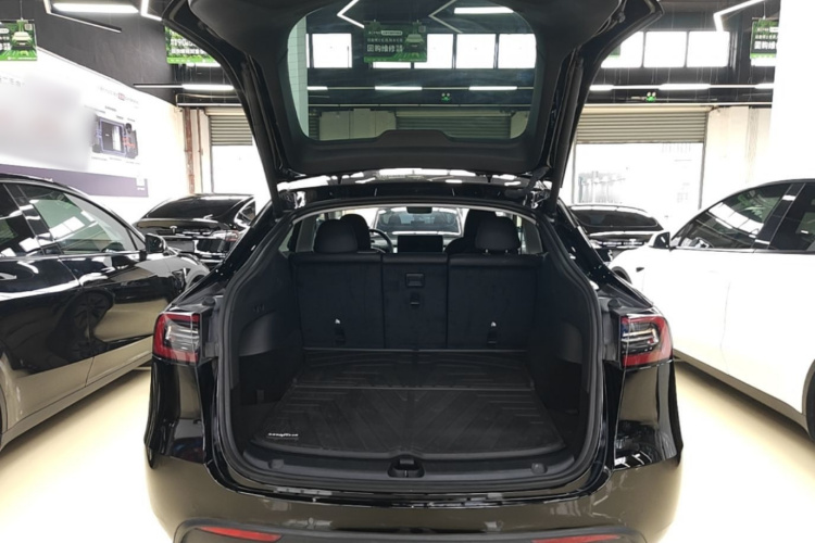 Tesla Model Y 2023 car image #19