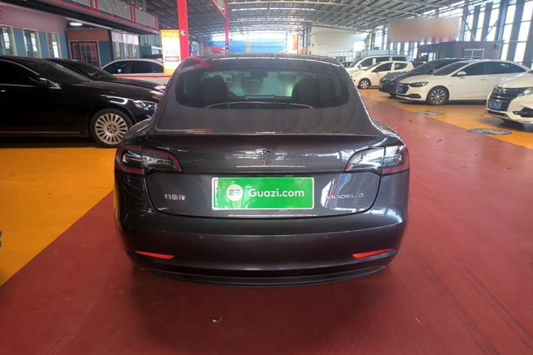 Tesla Model 3 2020 car image #6
