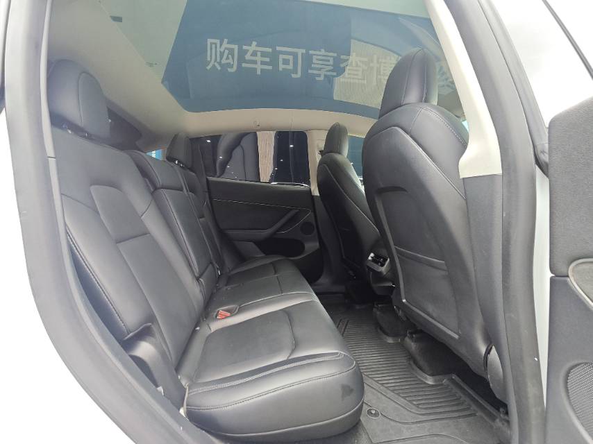 Tesla Model Y 2021 car image #10