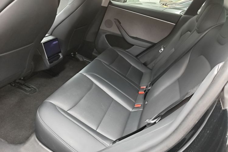 Tesla Model 3 2023 imagem de carro #17