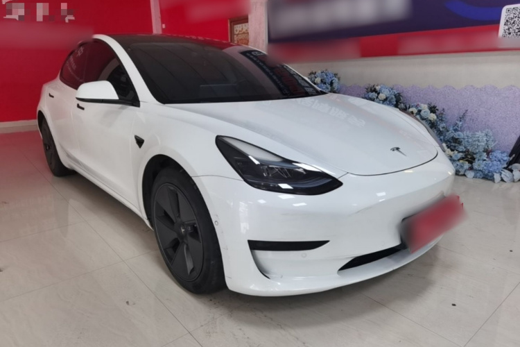 Tesla Model 3 2022 #4 Tesla Model 3 2022 immagine di auto #4