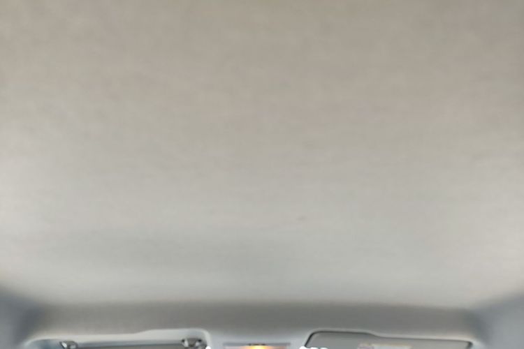 Volkswagen Santana 2020 car image #20