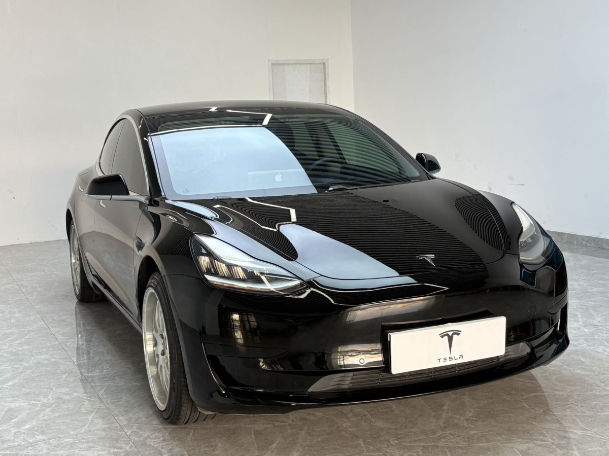 Tesla Model 3 2020 car image #3