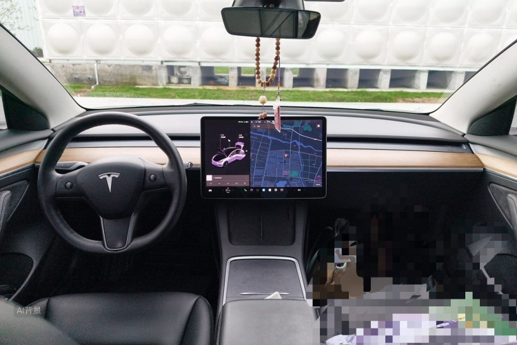 Tesla Model 3 2021 car image #11