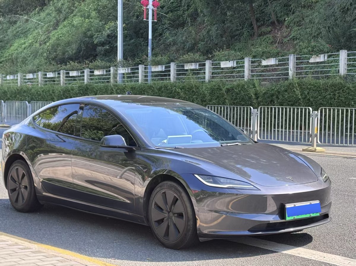 Tesla Model 3 2024 #3 Tesla Model 3 2024 car image #3