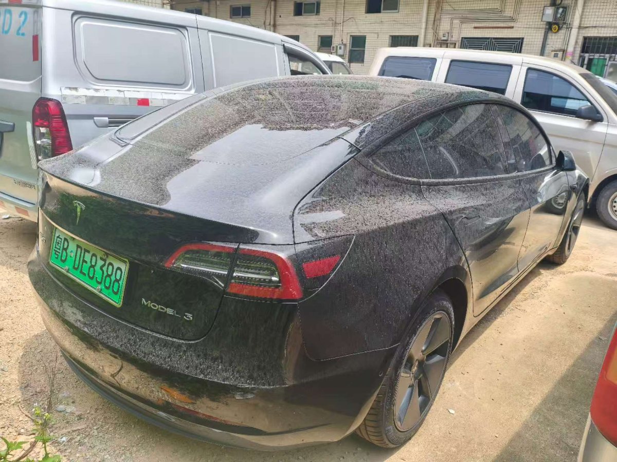 Tesla Model 3 2023 #3 Tesla Model 3 2023 car image #3