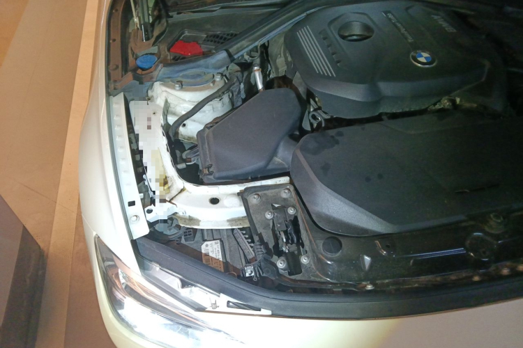 BMW 3 Series 2019 car image #28