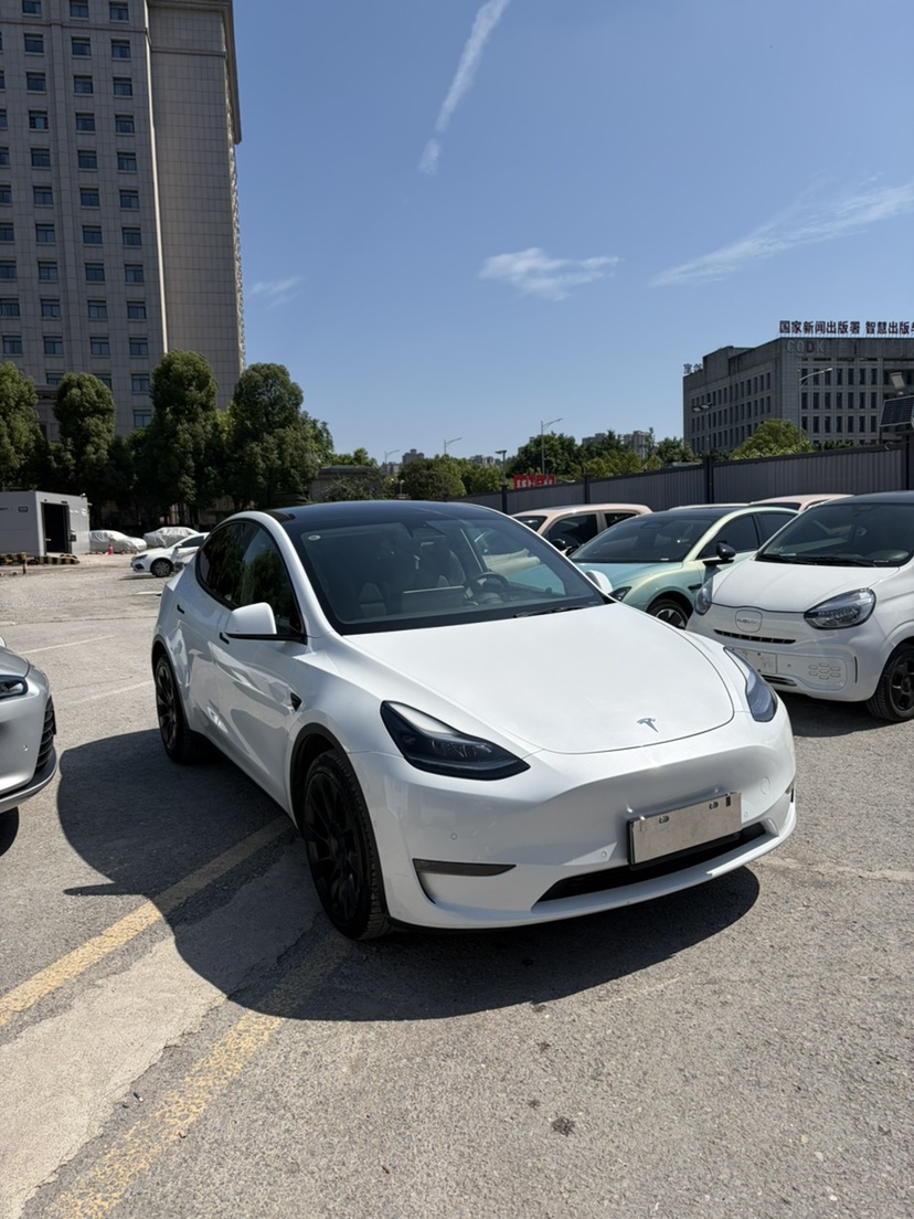 Tesla Model Y 2023 car image #3
