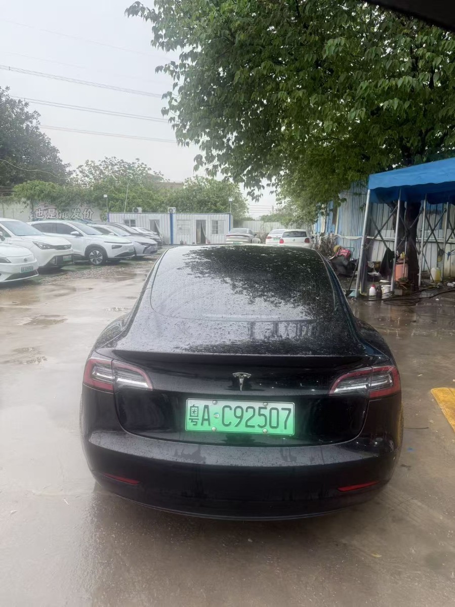 Tesla Model 3 (Imported) 2019 car image #5