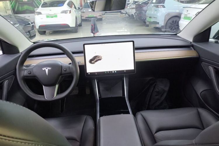 Tesla Model 3 2020 car image #10
