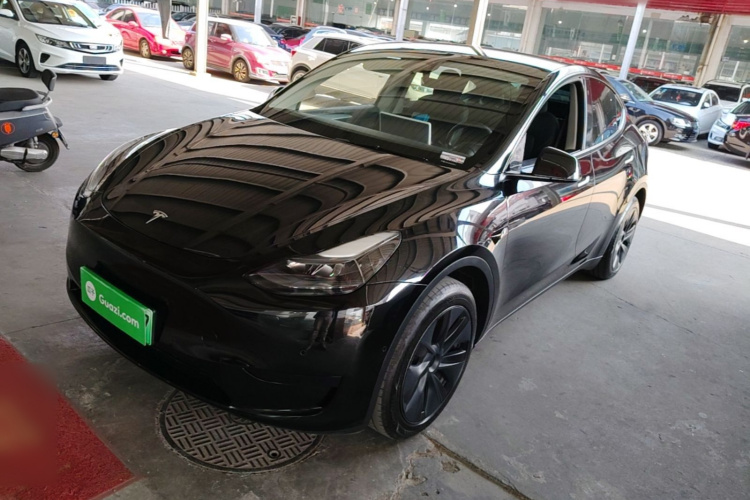 Tesla Model Y 2023 #2 Tesla Model Y 2023 car image #2