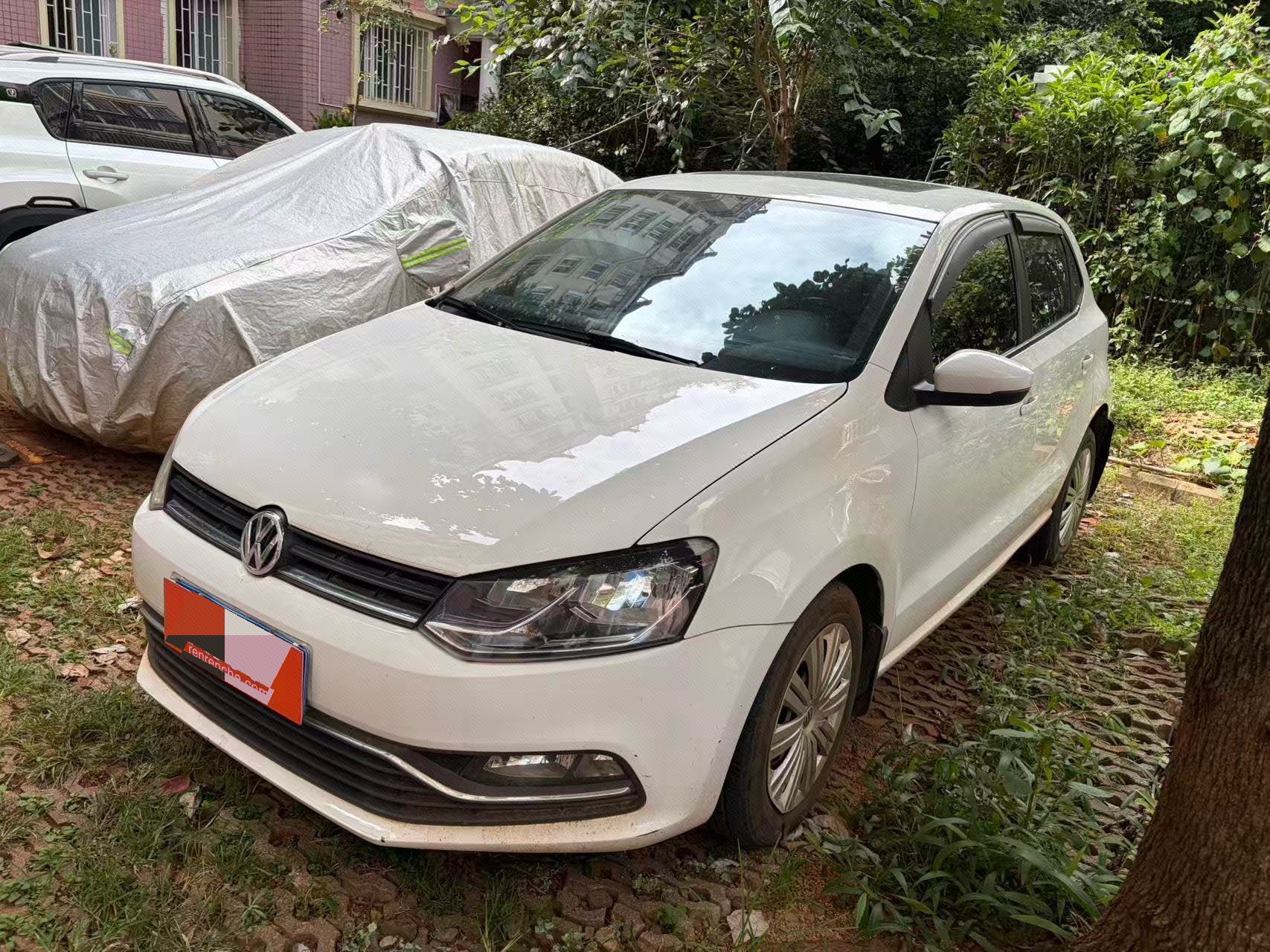 Volkswagen Polo 2016 car image 