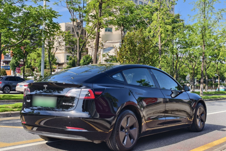 Tesla Model 3 2022 #5 Tesla Model 3 2022 car image #5