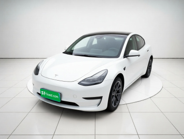 Tesla Model 3 2023 Tesla Model 3 2023 car image