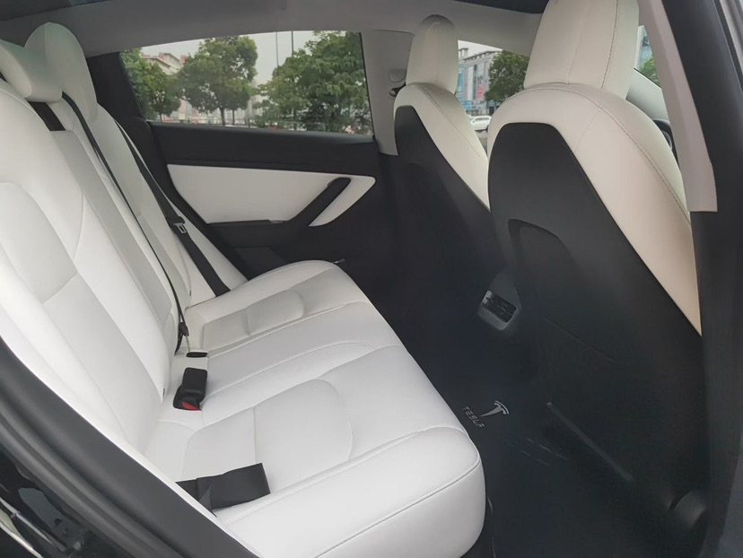 Tesla Model 3 2020 car image #6