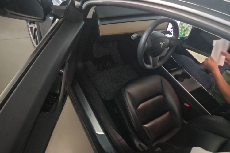 Tesla Model 3 2020 car image #12