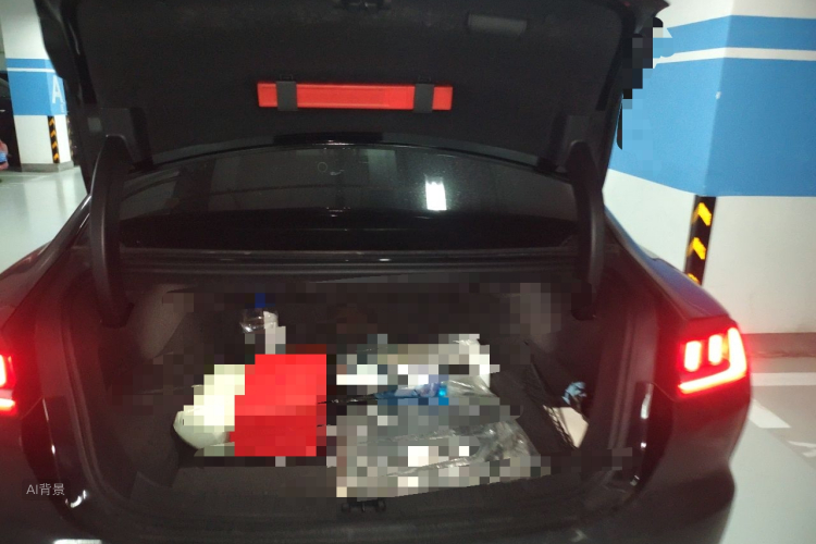 BYD Han 2020 #21 BYD Han 2020 car image #21