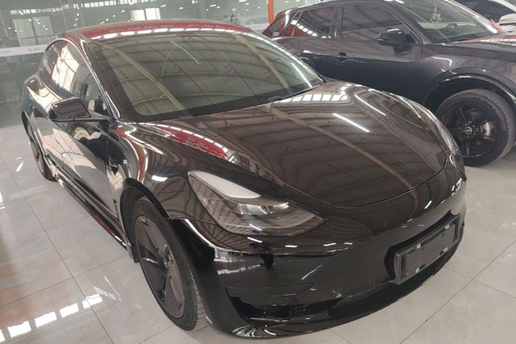 Tesla Model 3 2021 #4 Tesla Model 3 2021 car image #4
