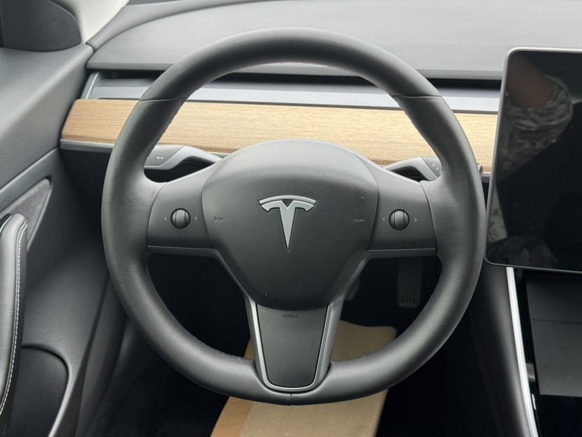 Tesla Model 3 2020 car image #4
