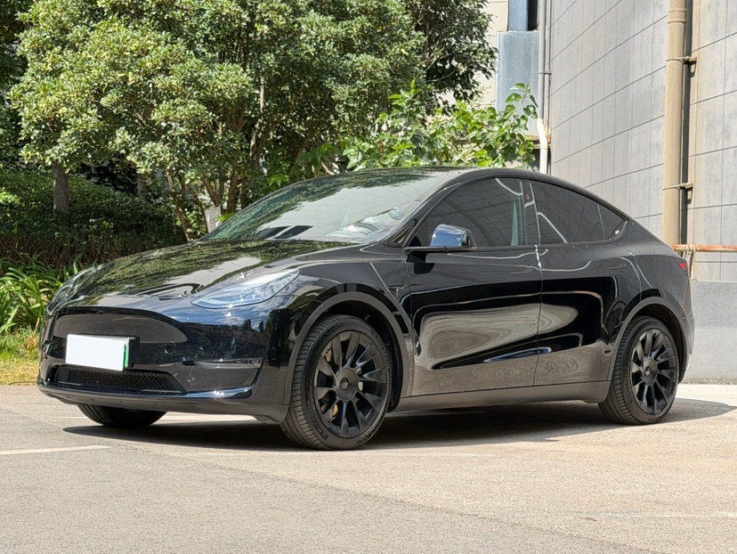 Tesla Model Y 2024 Tesla Model Y 2024 car image