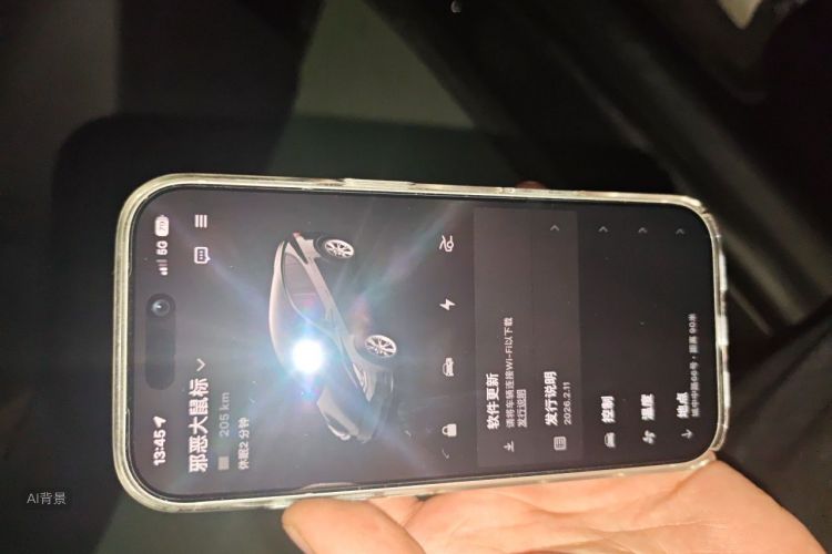 Tesla Model Y 2021 car image #10