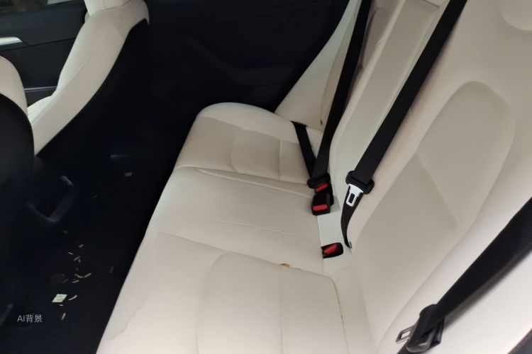 Tesla Model 3 2021 immagine di auto #19