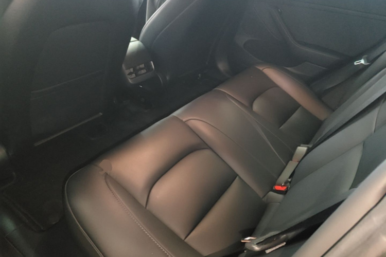 Tesla Model 3 2022 #17 Tesla Model 3 2022 car image #17