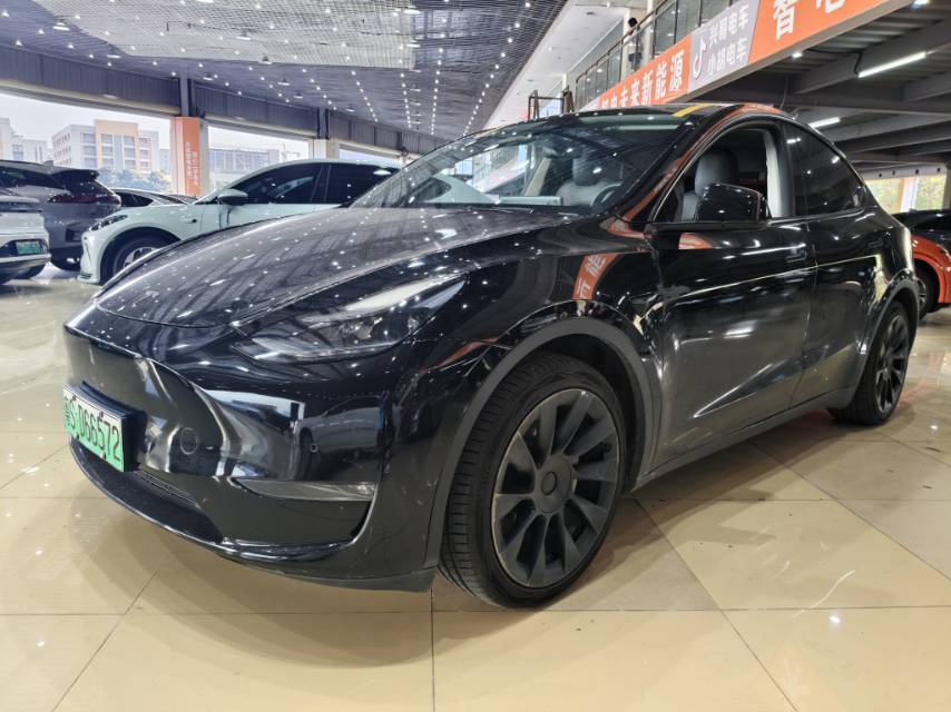 Tesla Model Y 2022 Tesla Model Y 2022 car image