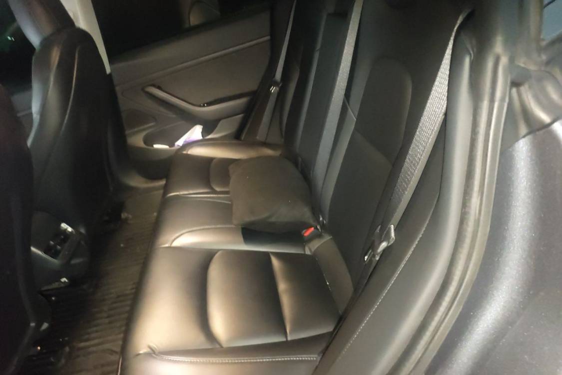 Tesla Model 3 2020 #21 Tesla Model 3 2020 car image #21