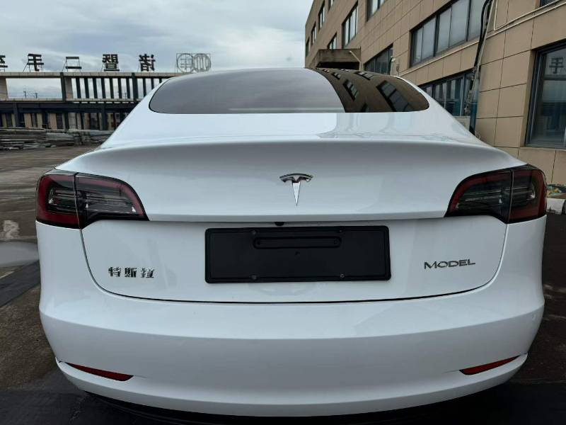 Tesla Model 3 2022 #3 Tesla Model 3 2022 car image #3
